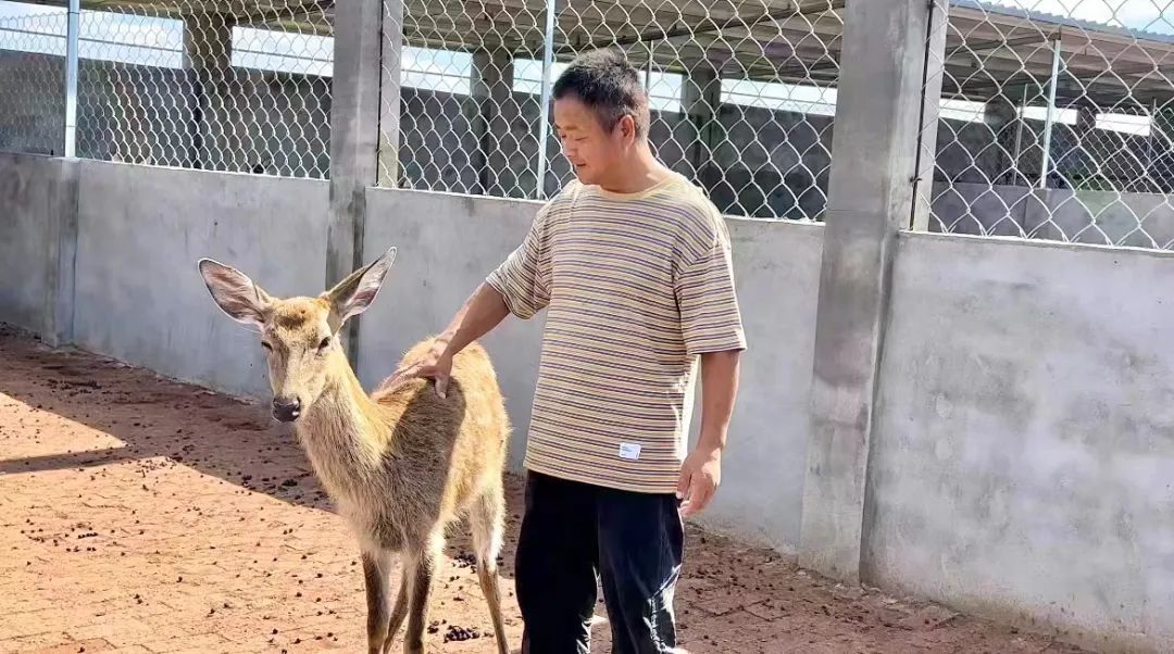 至尊炸金花下载